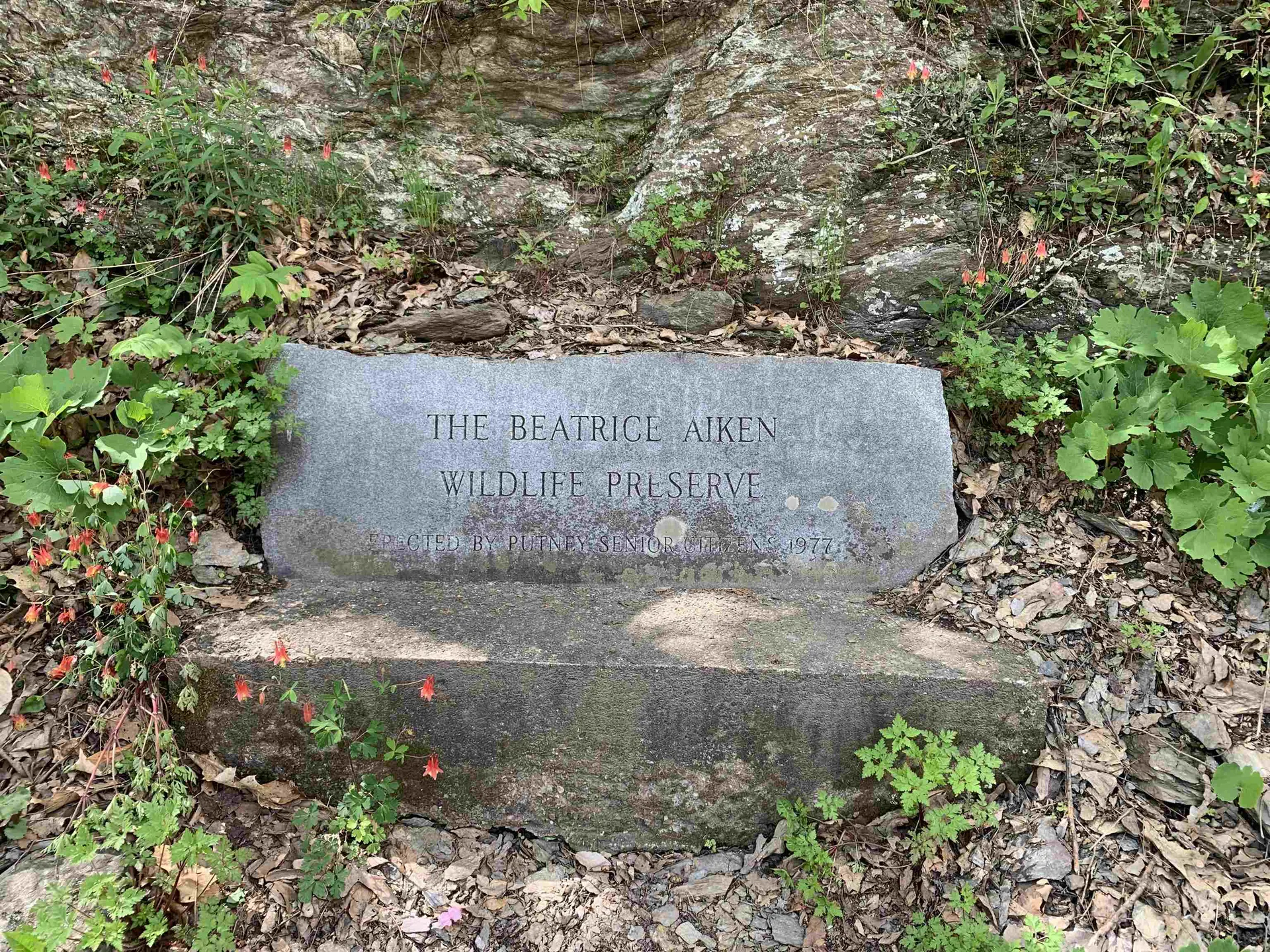 19 Shag Bark Hill Putney VT 05346