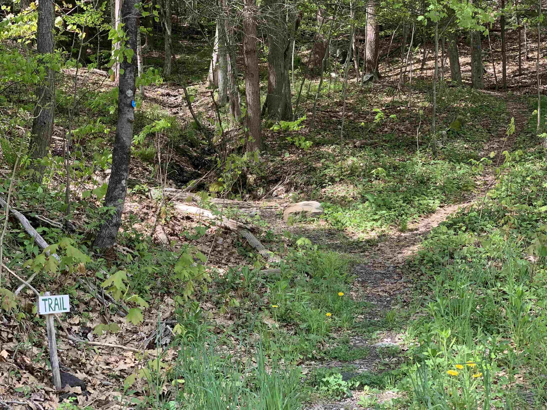 19 Shag Bark Hill Putney VT 05346