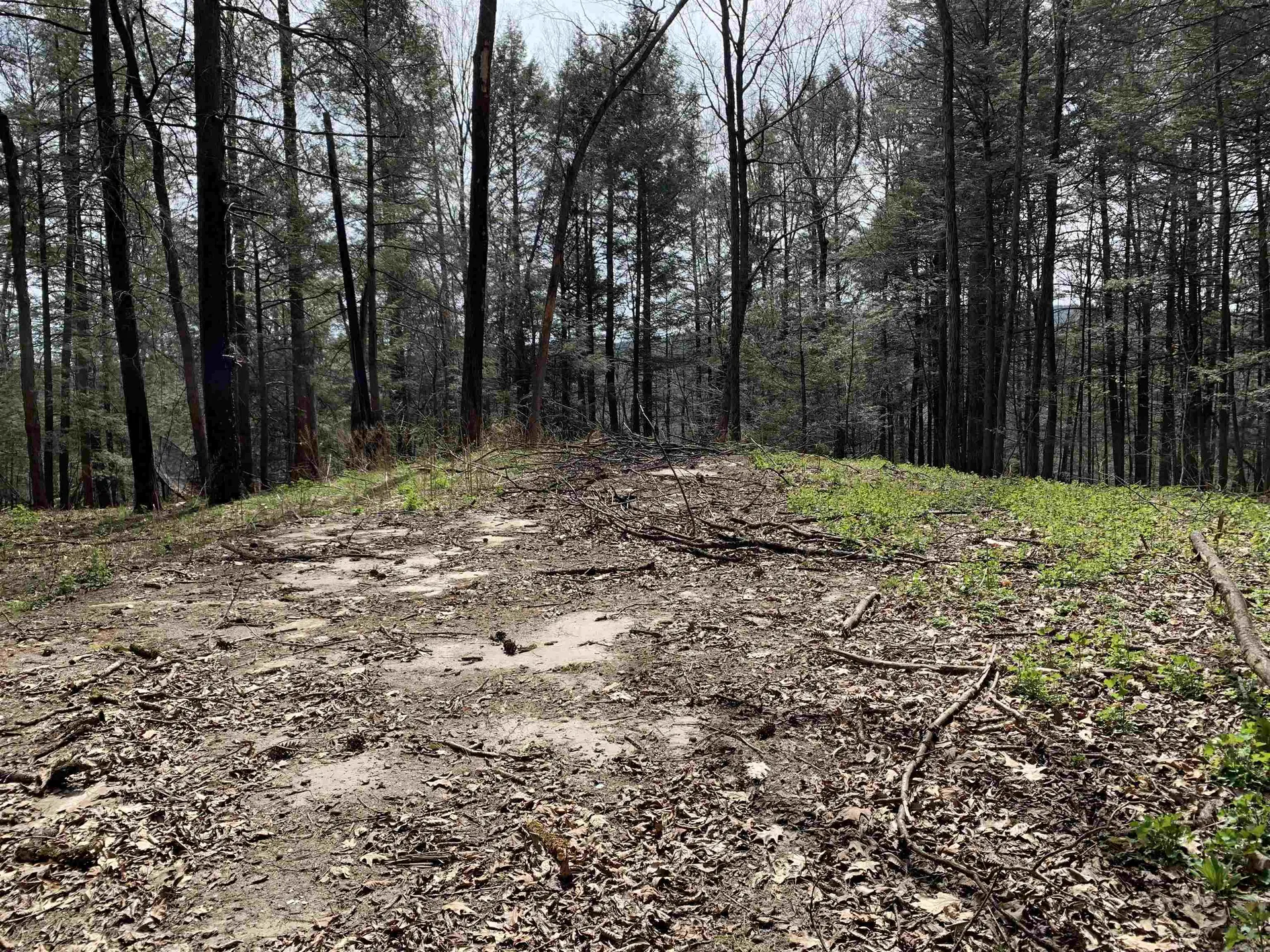 19 Shag Bark Hill Putney VT 05346