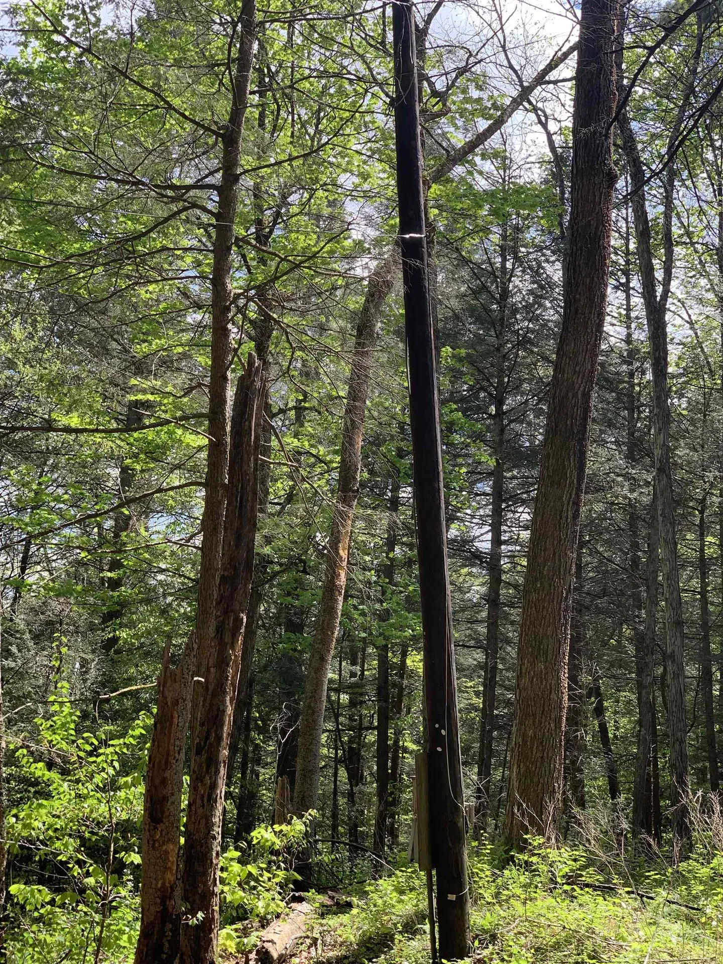 19 Shag Bark Hill Putney VT 05346