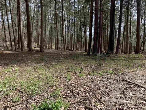 19 Shag Bark Hill Putney VT 05346