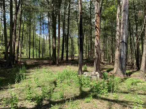 19 Shag Bark Hill Putney VT 05346