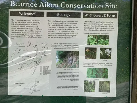 19 Shag Bark Hill Putney VT 05346