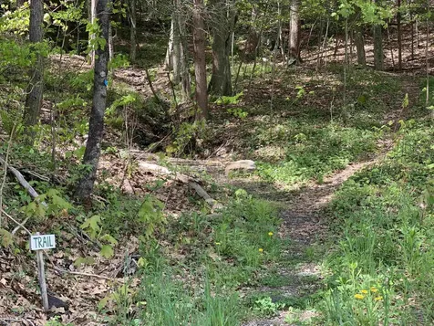 19 Shag Bark Hill Putney VT 05346