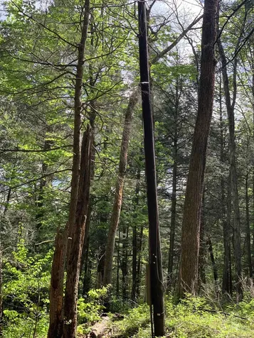 19 Shag Bark Hill Putney VT 05346