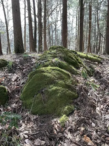 19 Shag Bark Hill Putney VT 05346