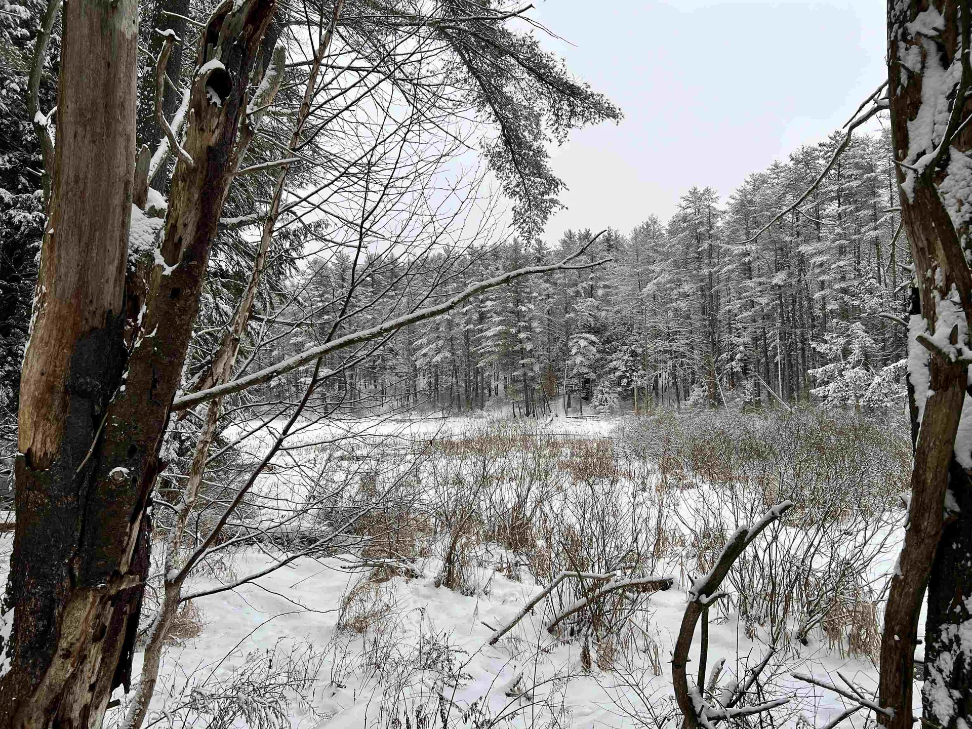 192 Brothers Road Hartland VT 05048