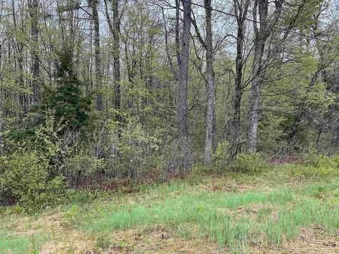 Map 202 Lot 1 Nh Route 25 Ossipee NH 03814