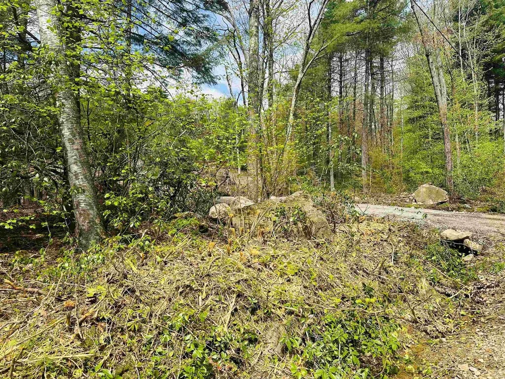 Lot A 22 12 Batchelder Road Mason NH 03048