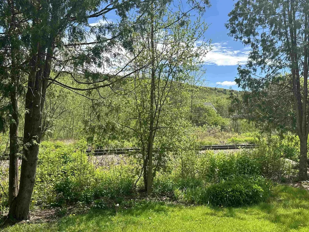 9 Woodbridge Lane Middlebury VT 05753