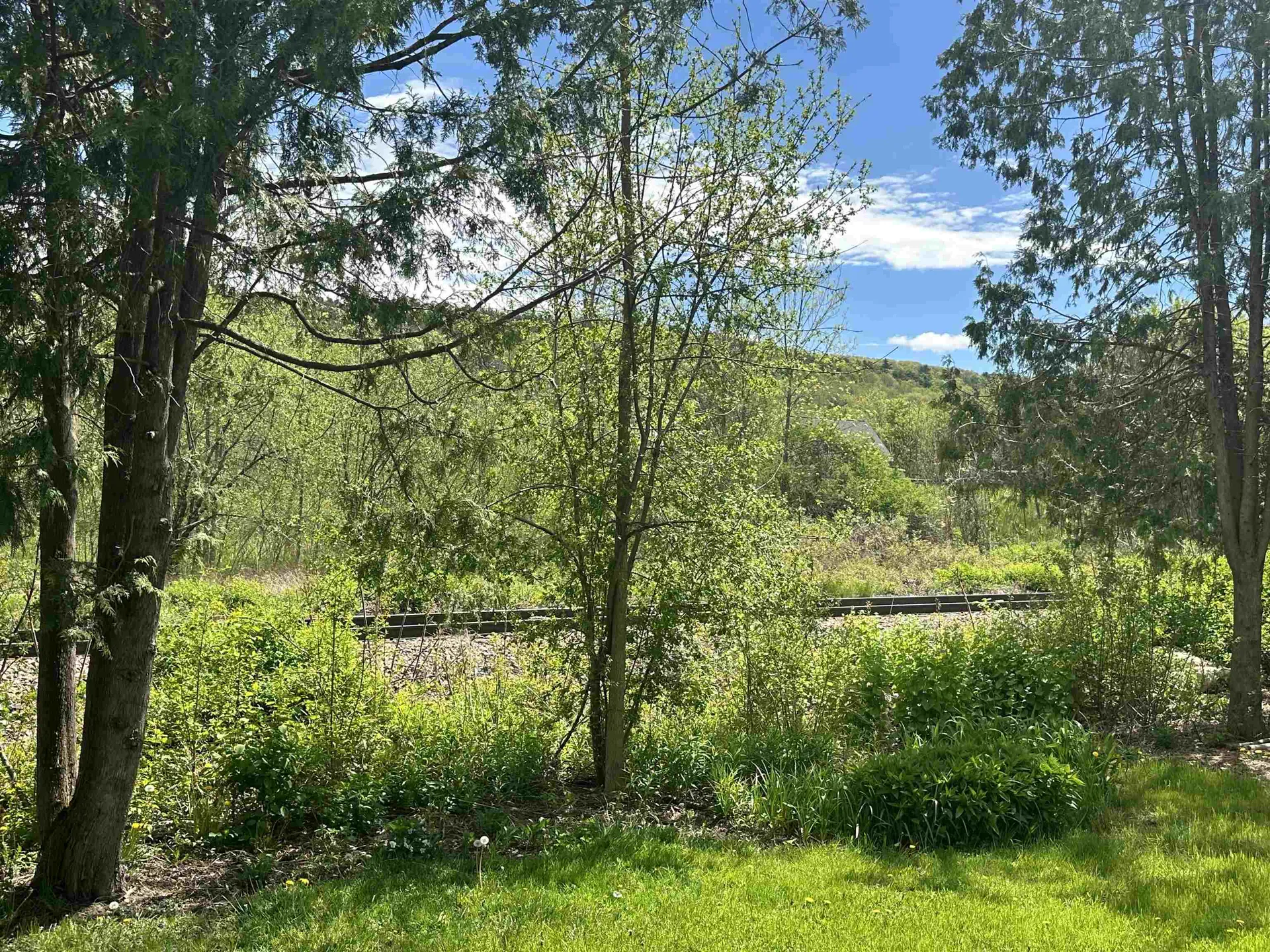 9 Woodbridge Lane Middlebury VT 05753
