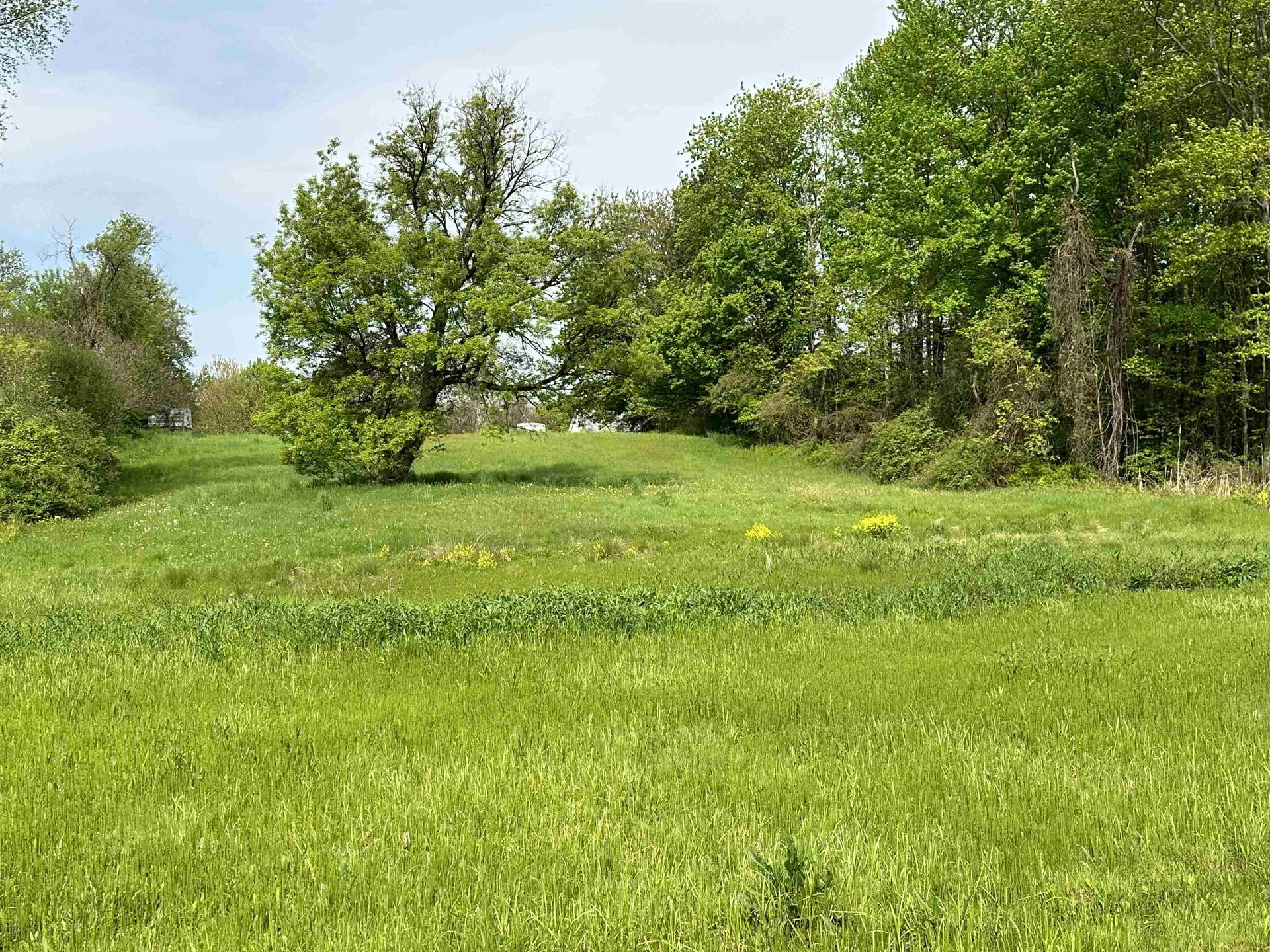 1853 Greenbush Road Ferrisburgh VT 05473
