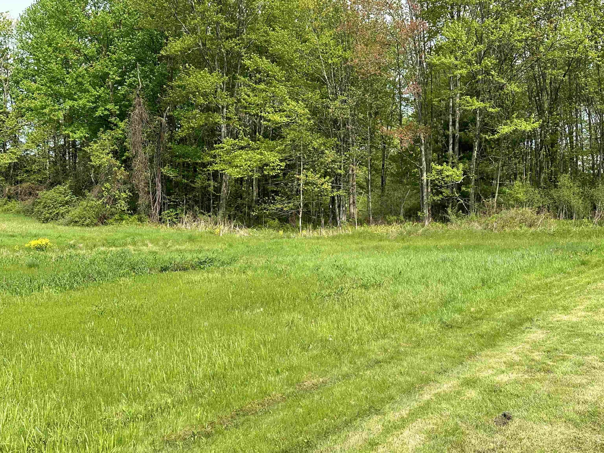 1853 Greenbush Road Ferrisburgh VT 05473