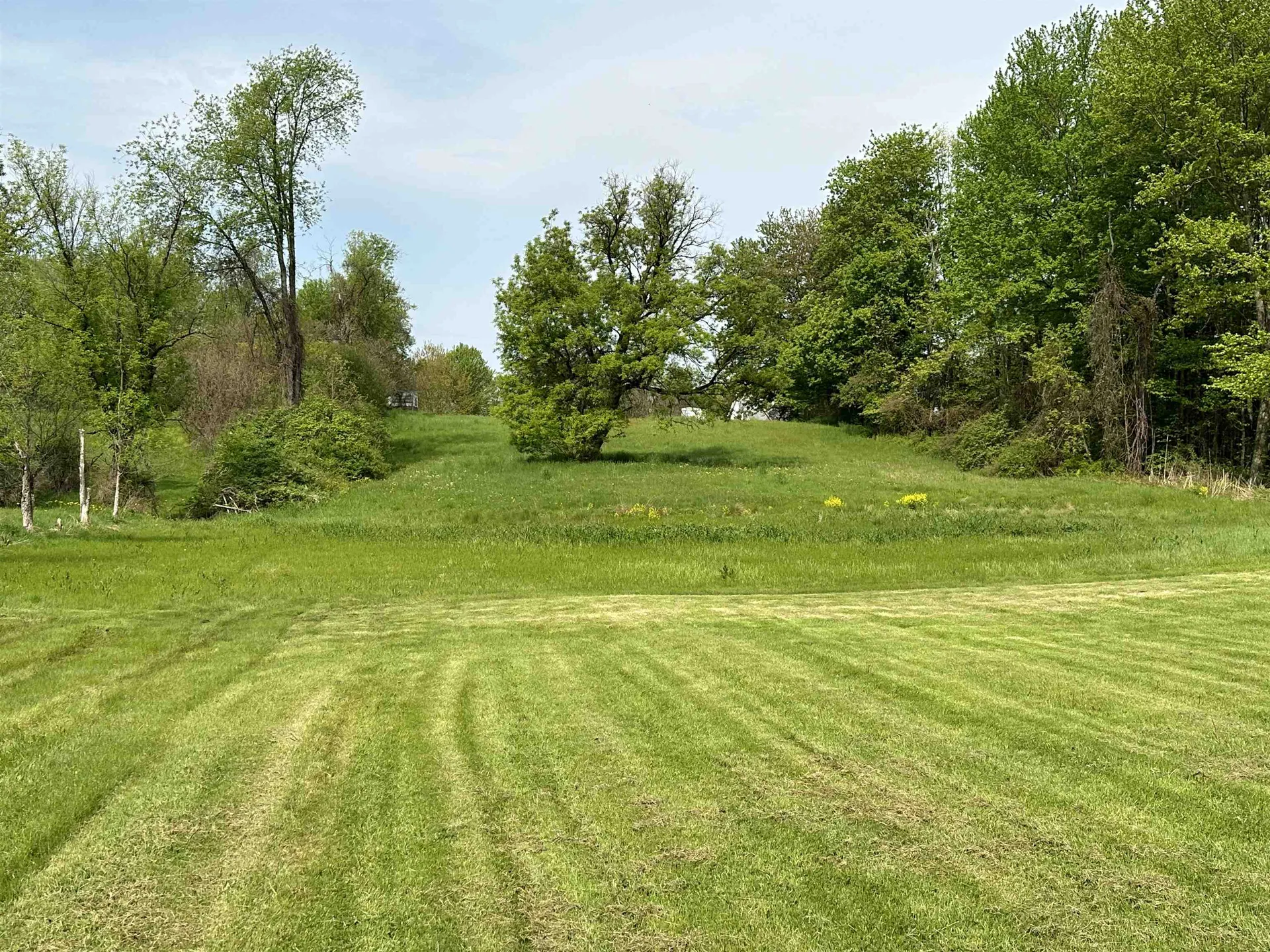 1853 Greenbush Road Ferrisburgh VT 05473