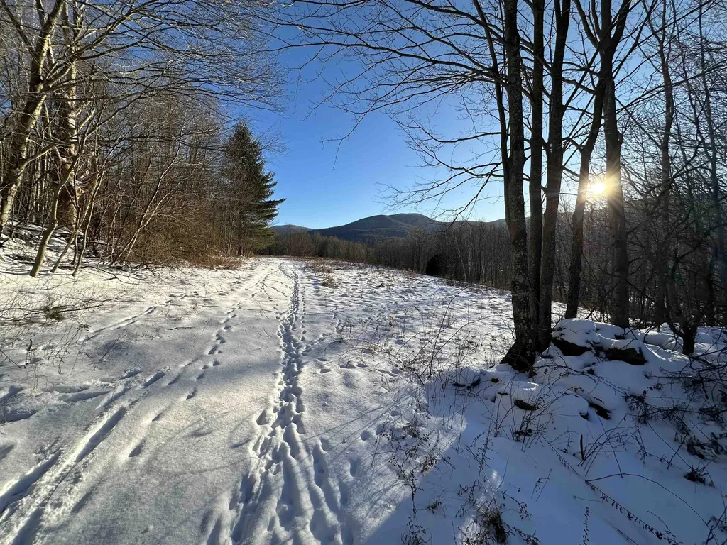 152 Danforth Drive Dorset VT 05253