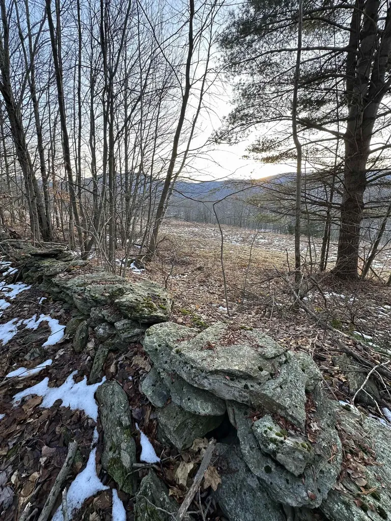 152 Danforth Drive Dorset VT 05253