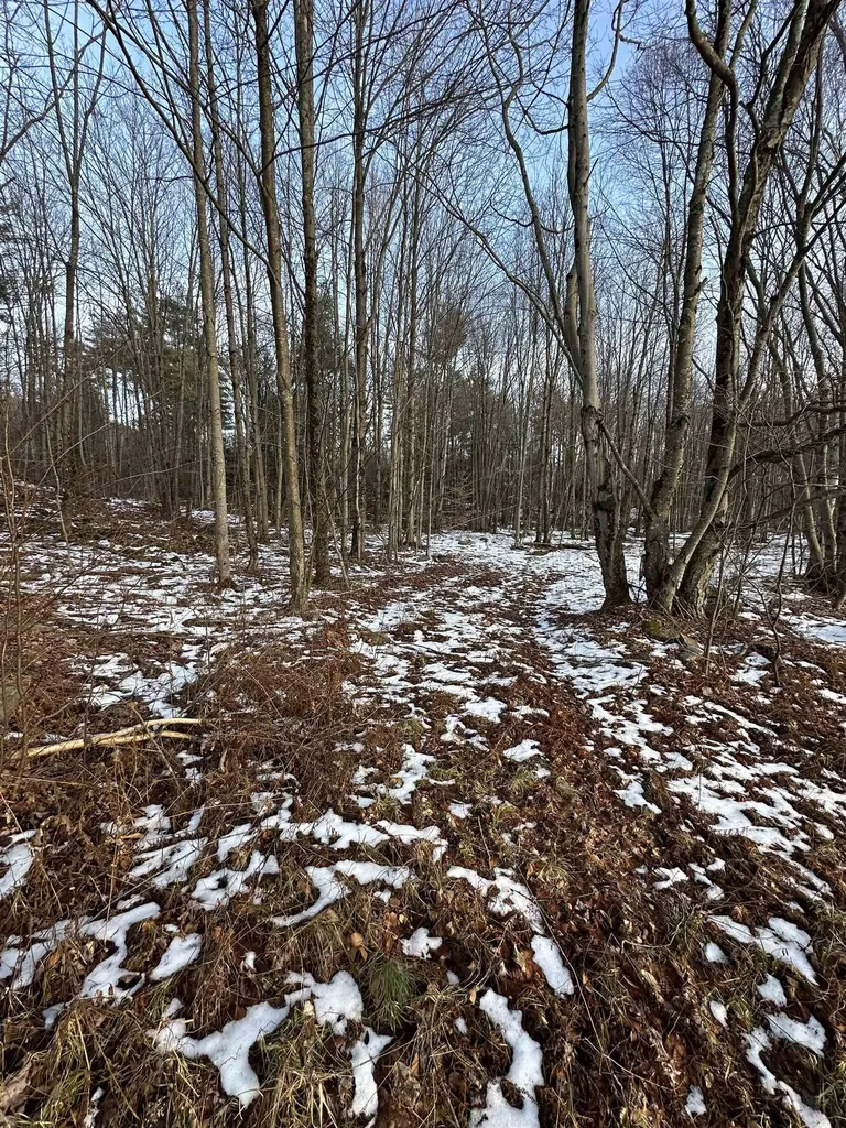 152 Danforth Drive Dorset VT 05253