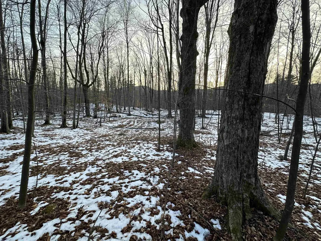 152 Danforth Drive Dorset VT 05253