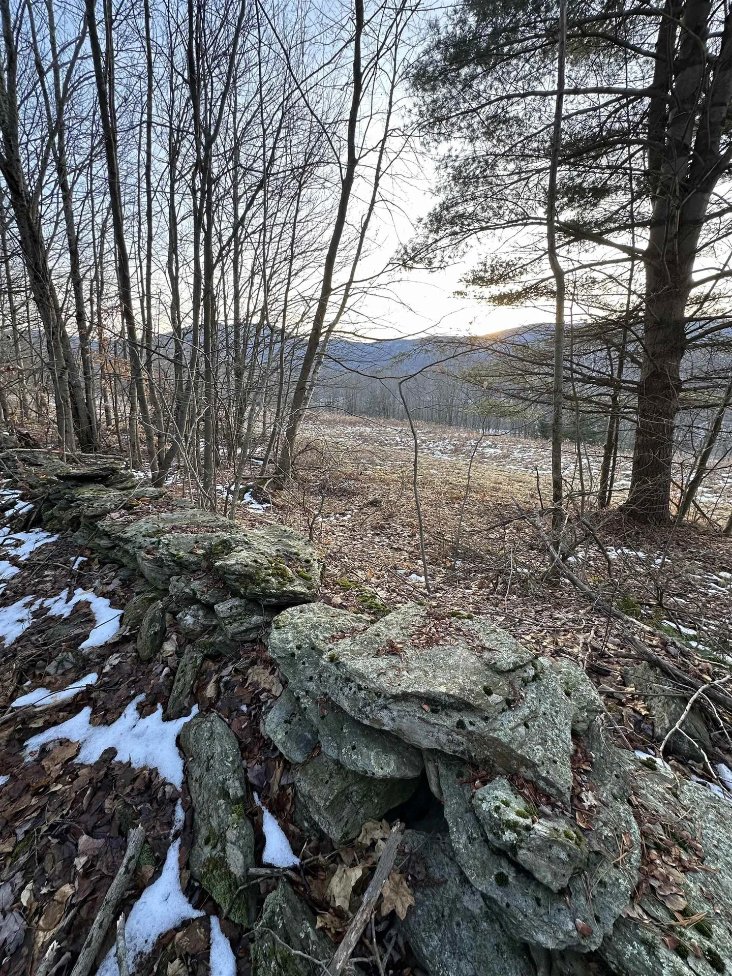 152 Danforth Drive Dorset VT 05253