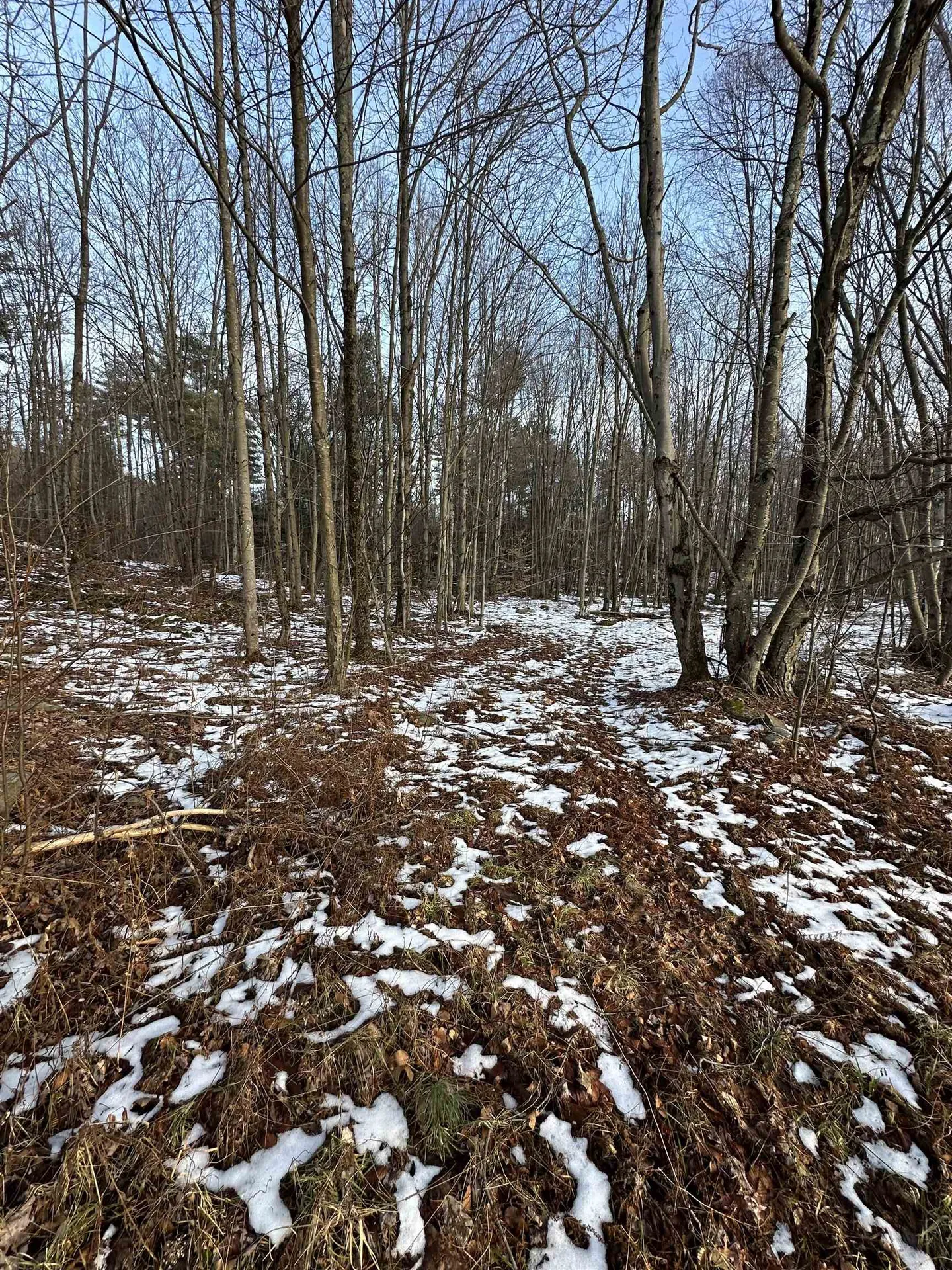 152 Danforth Drive Dorset VT 05253