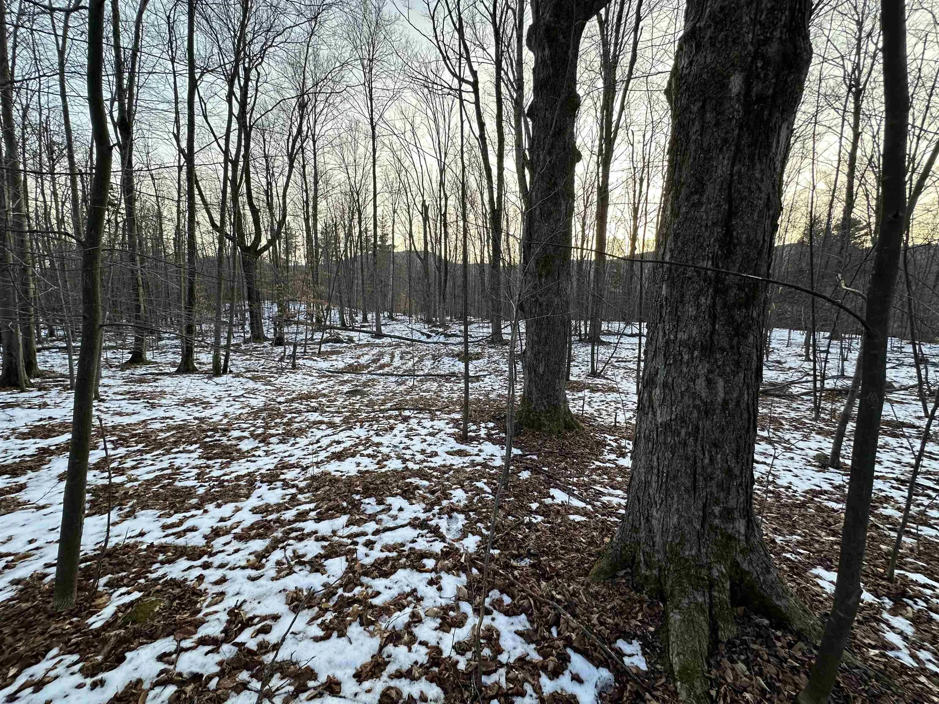 152 Danforth Drive Dorset VT 05253