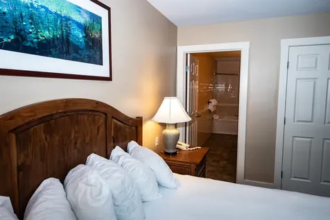 505/507 Qtr. I Adams House Ludlow VT 05149