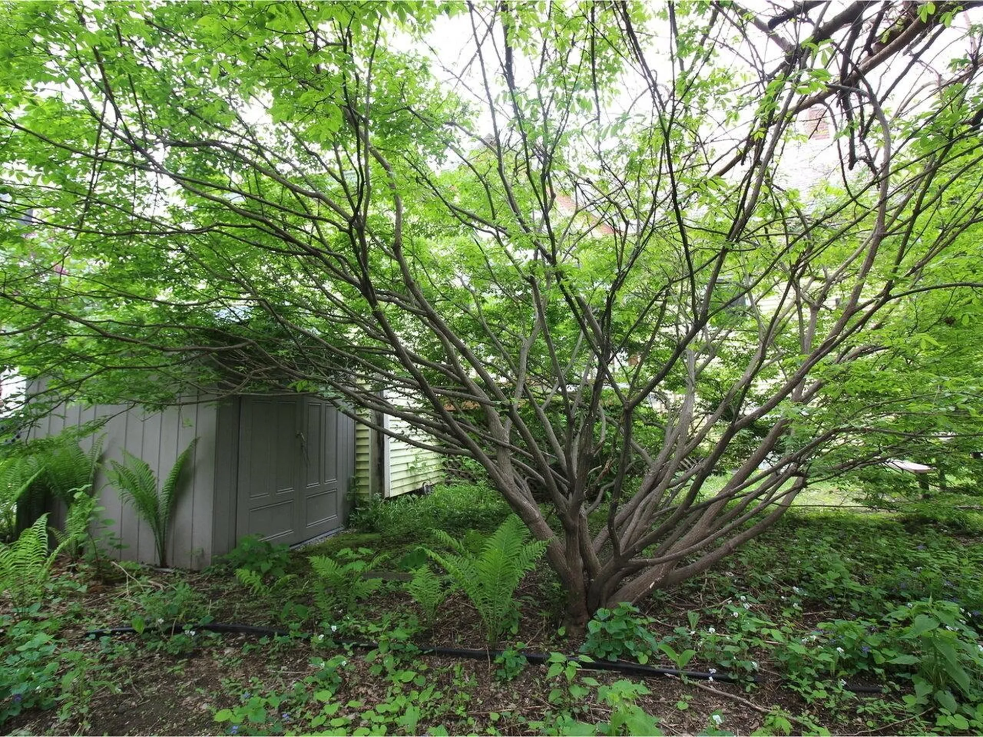 87-89 Intervale Avenue Burlington VT 05401
