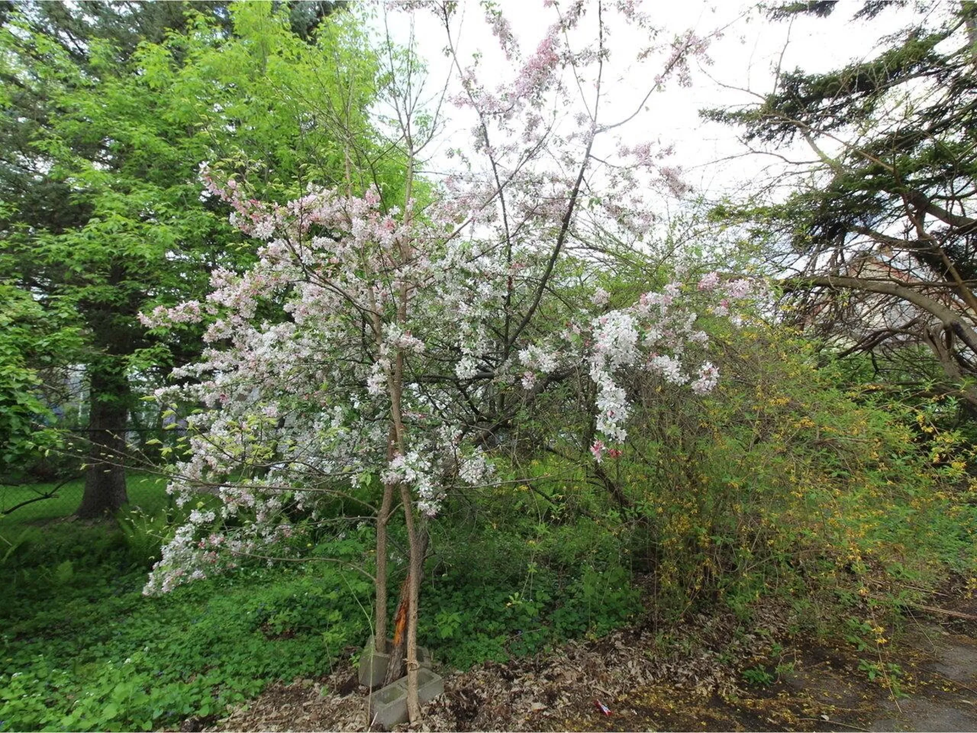 87-89 Intervale Avenue Burlington VT 05401