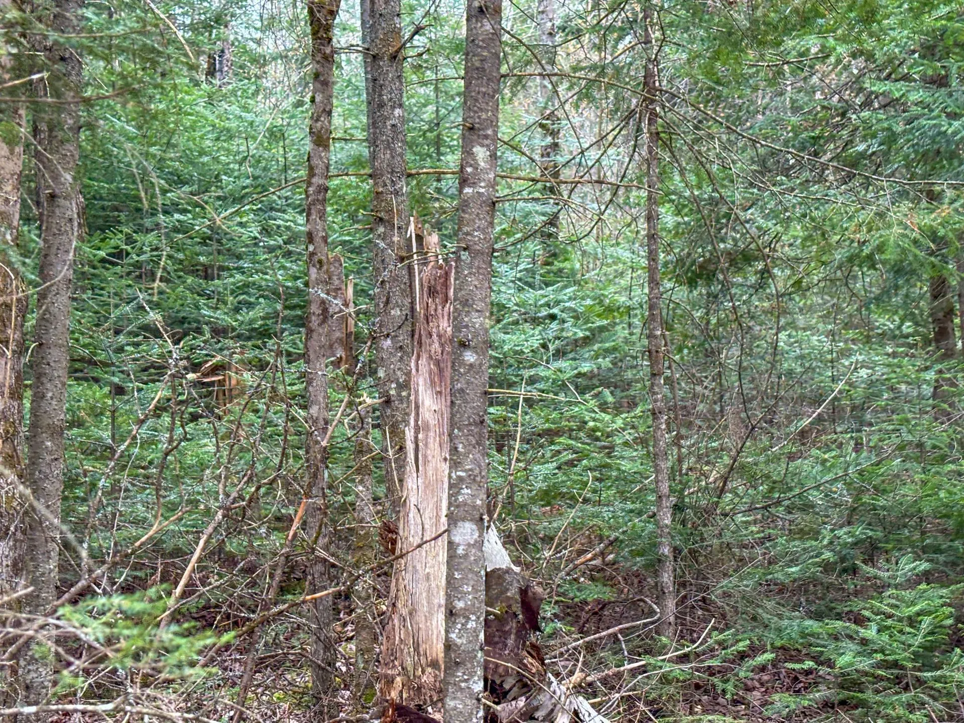 0 Atwood Road Brighton VT 05846