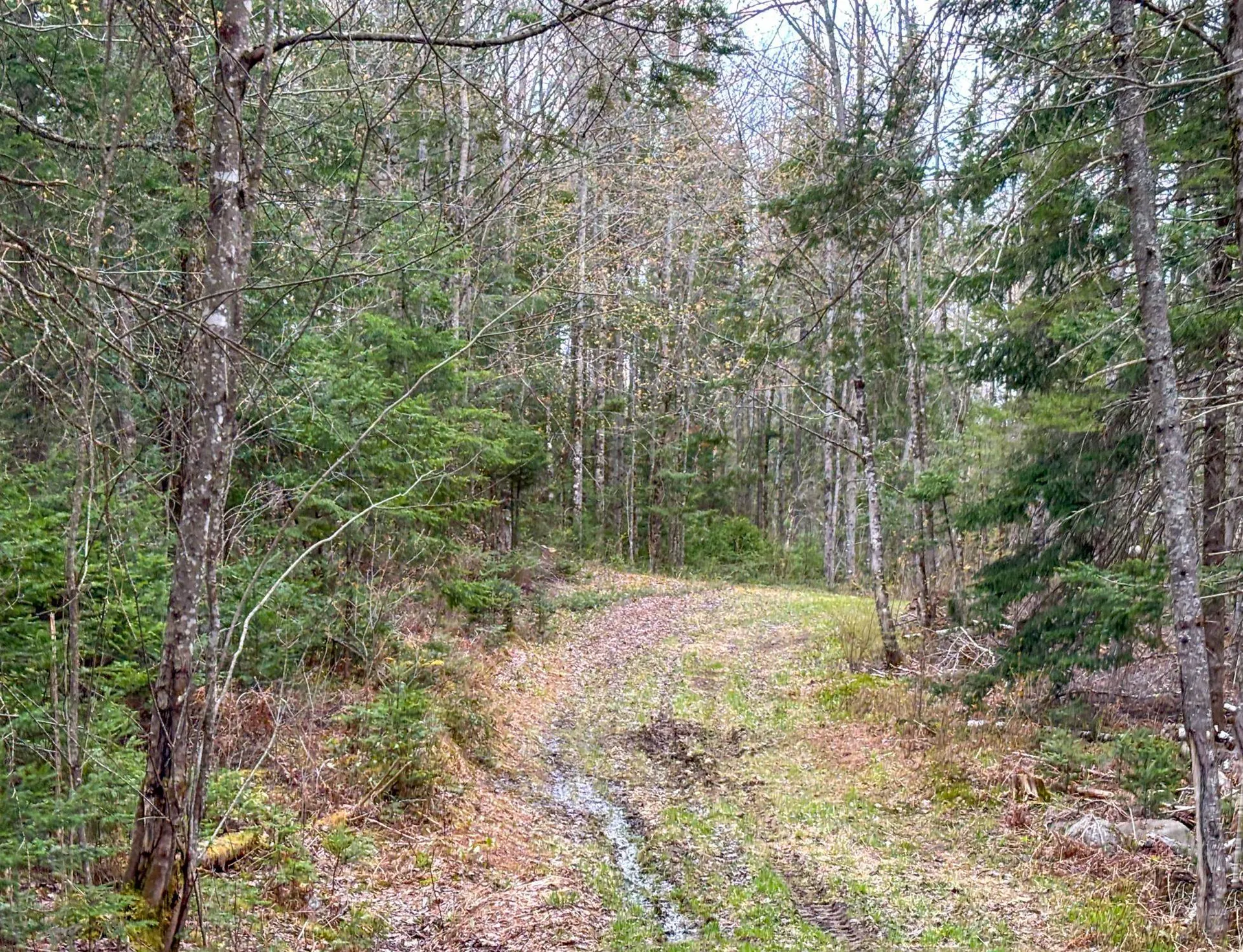 0 Atwood Road Brighton VT 05846