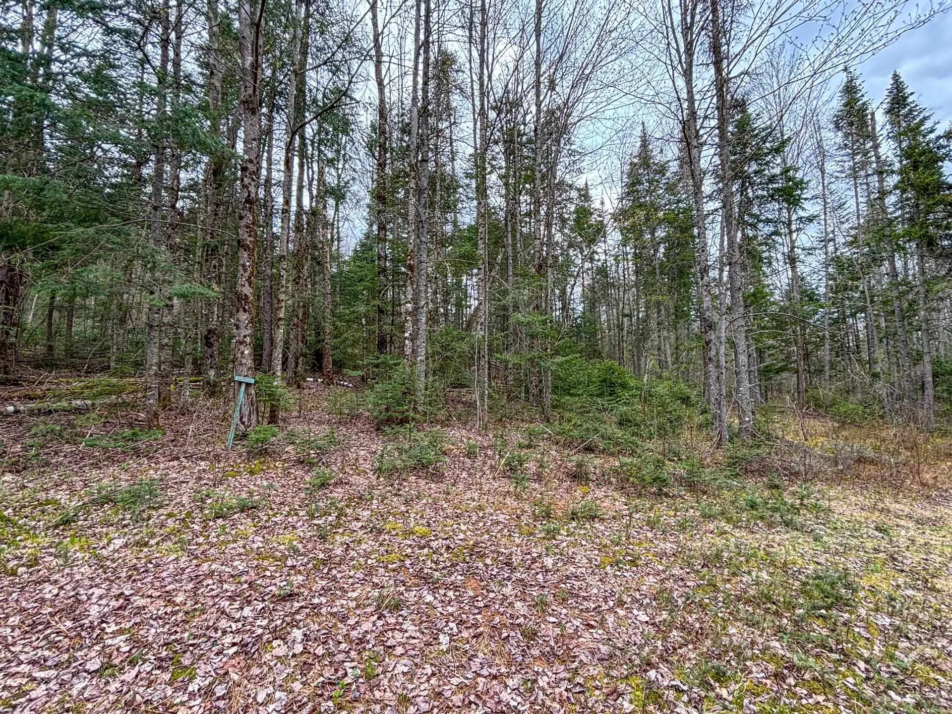 0 Atwood Road Brighton VT 05846