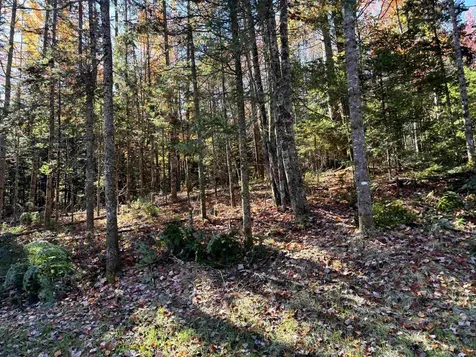 0 Atwood Road Brighton VT 05846