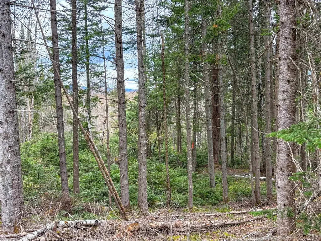 0 Atwood Road Brighton VT 05846