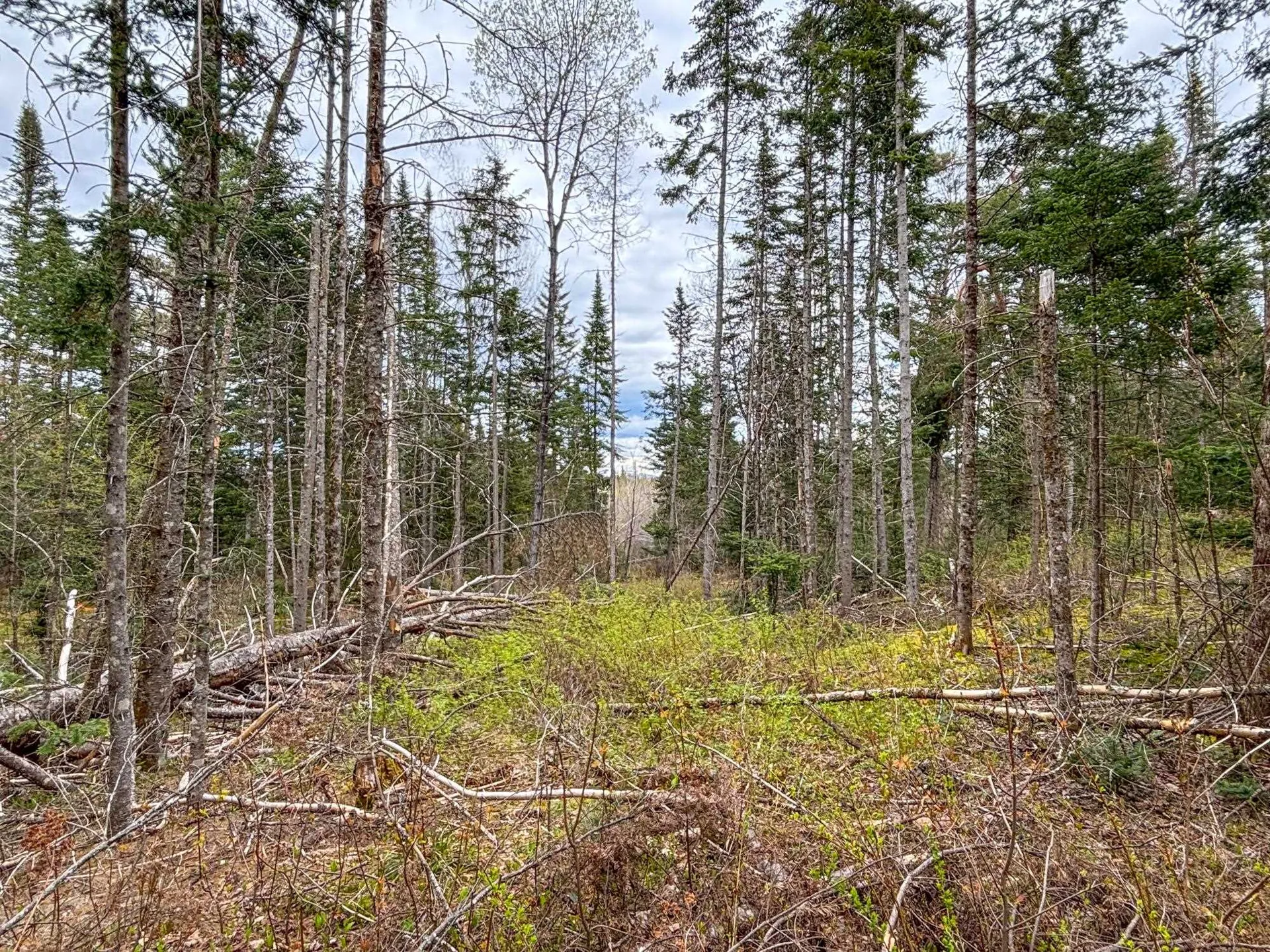 0 Atwood Road Brighton VT 05846