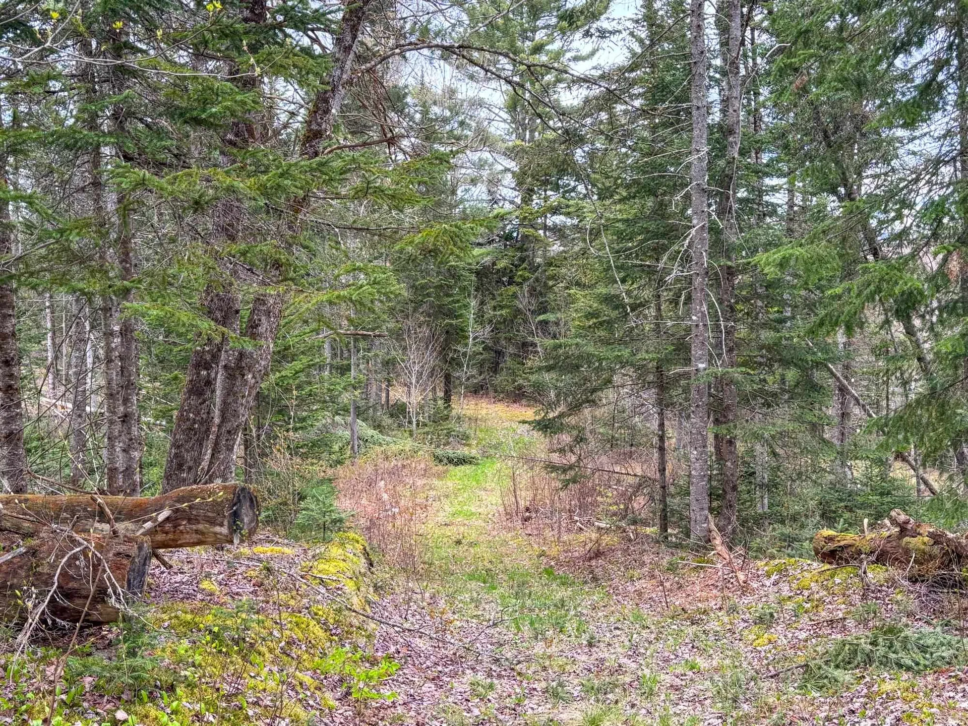 0 Atwood Road Brighton VT 05846