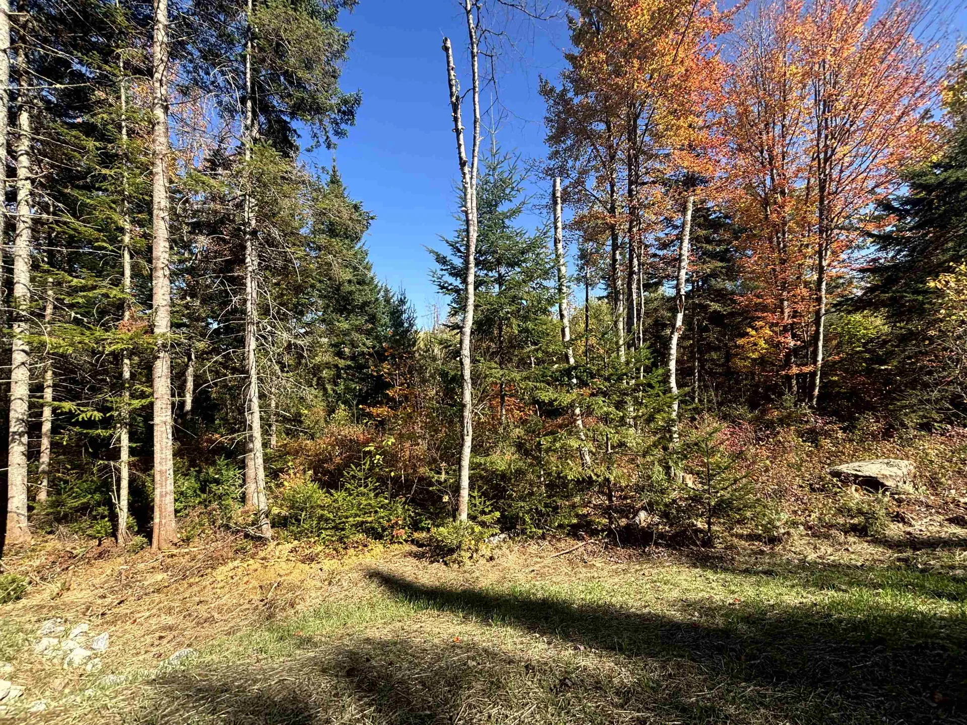 0 Atwood Road Brighton VT 05846