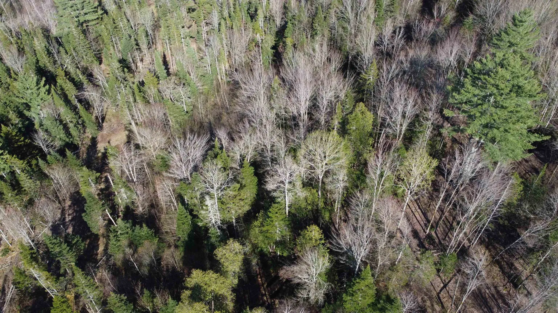 0 Atwood Road Brighton VT 05846