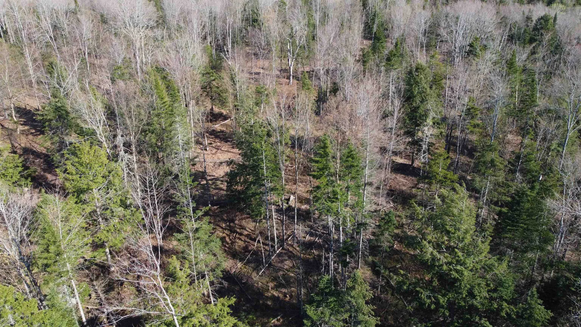 0 Atwood Road Brighton VT 05846