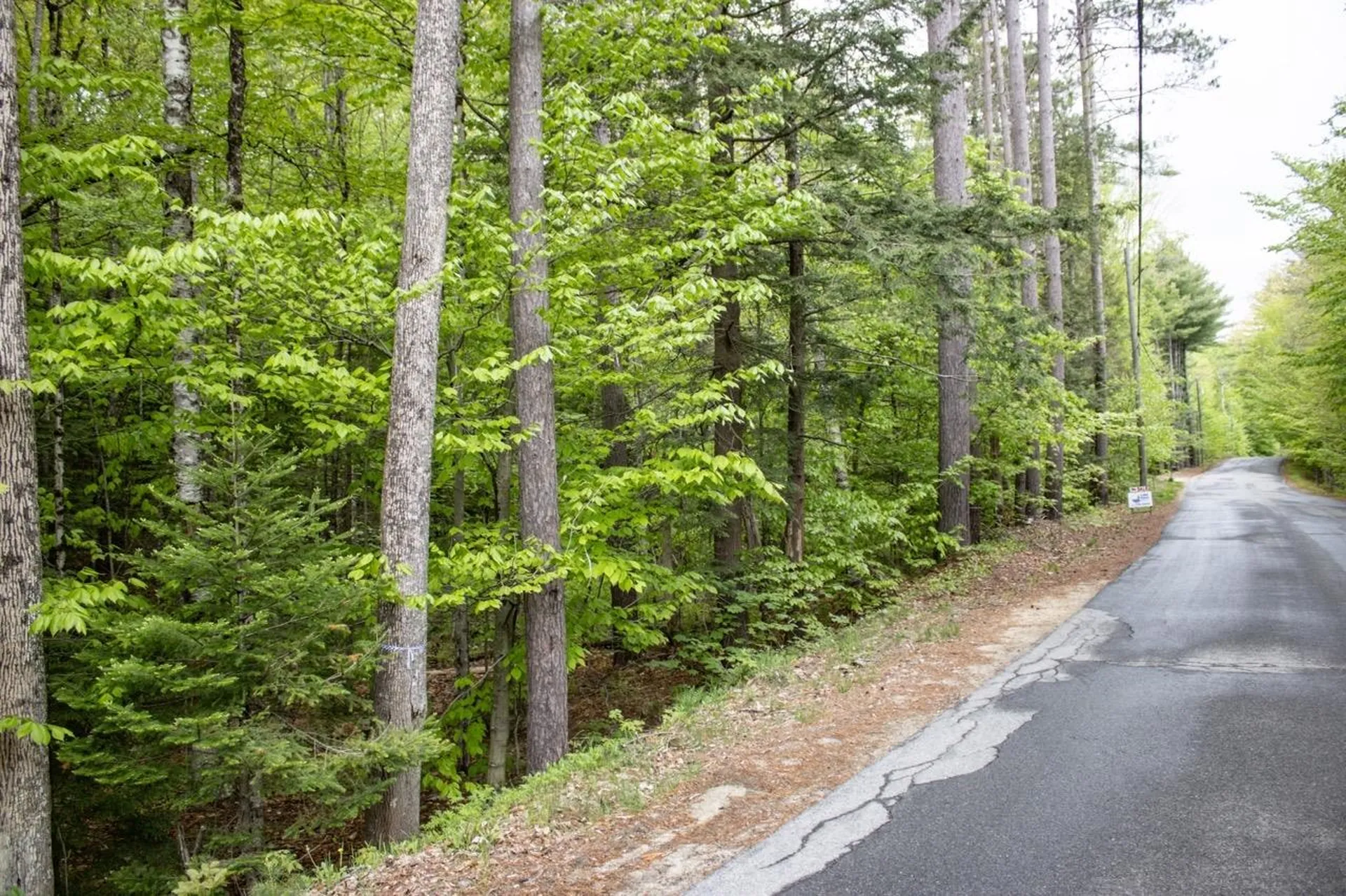 E Washington Road Washington NH 03280