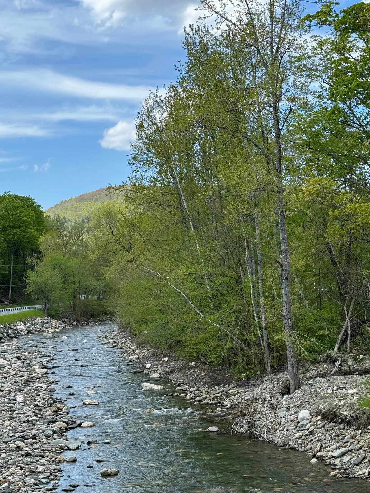 2294 Bridgewater Center Road Bridgewater VT 05035