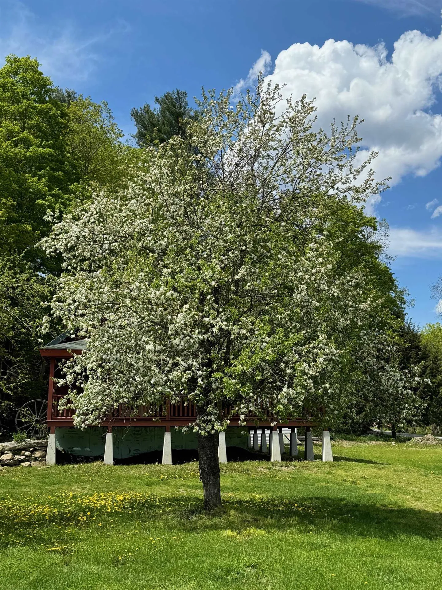 2294 Bridgewater Center Road Bridgewater VT 05035