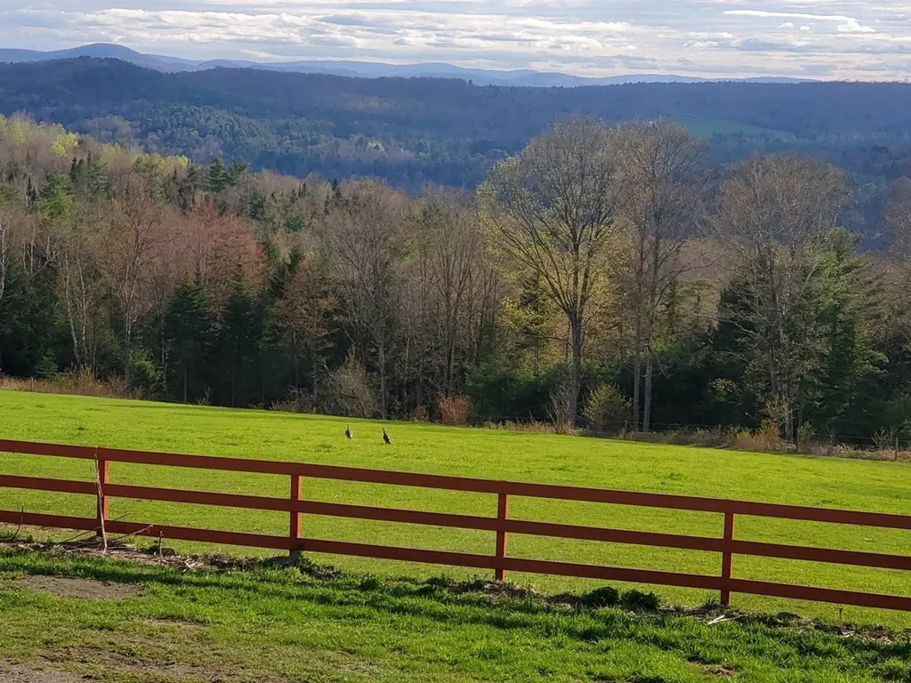 190 Bolander Road Bradford VT 05033