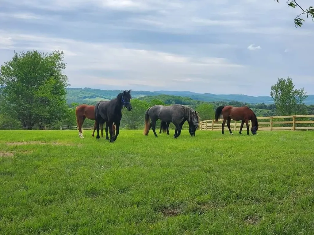 190 Bolander Road Bradford VT 05033