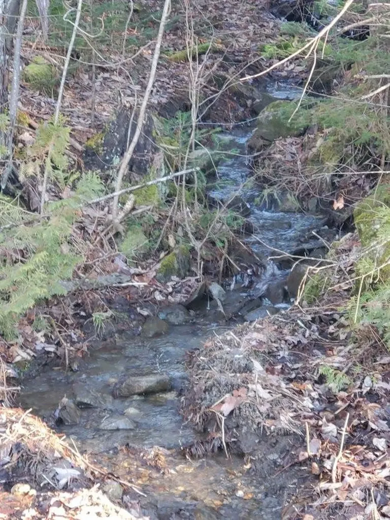 190 Bolander Road Bradford VT 05033