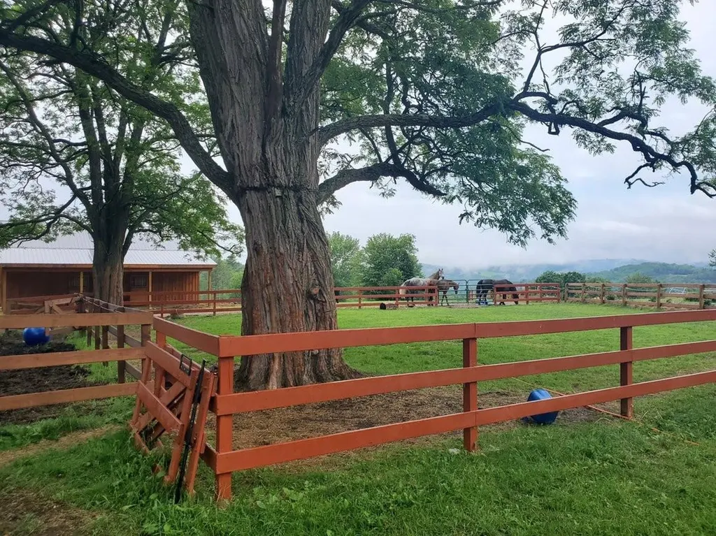 190 Bolander Road Bradford VT 05033