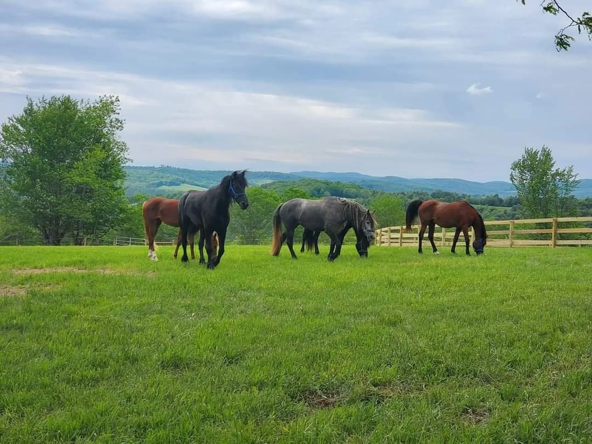 190 Bolander Road Bradford VT 05033