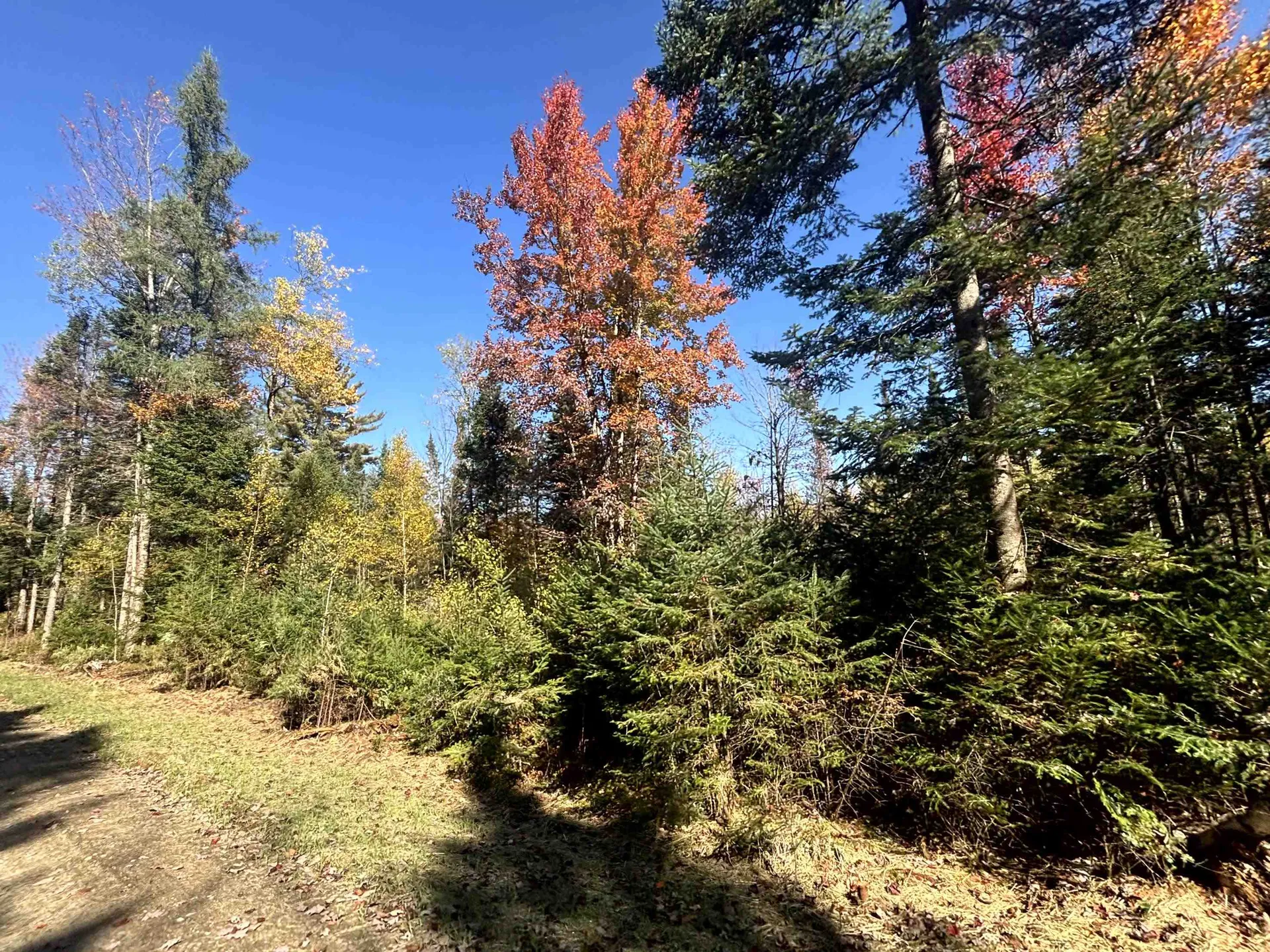 0 Atwood Road Brighton VT 05846