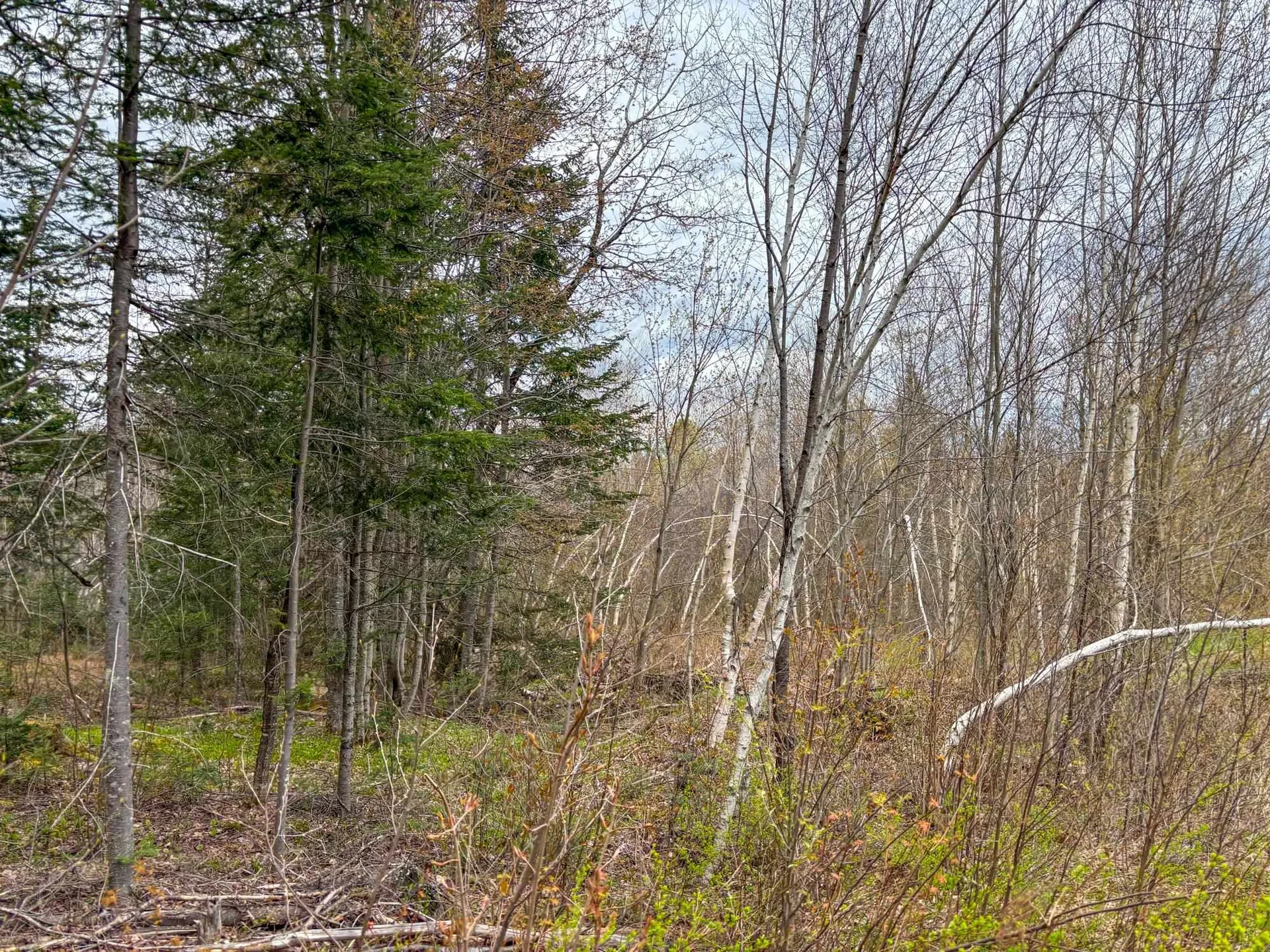 0 Atwood Road Brighton VT 05846