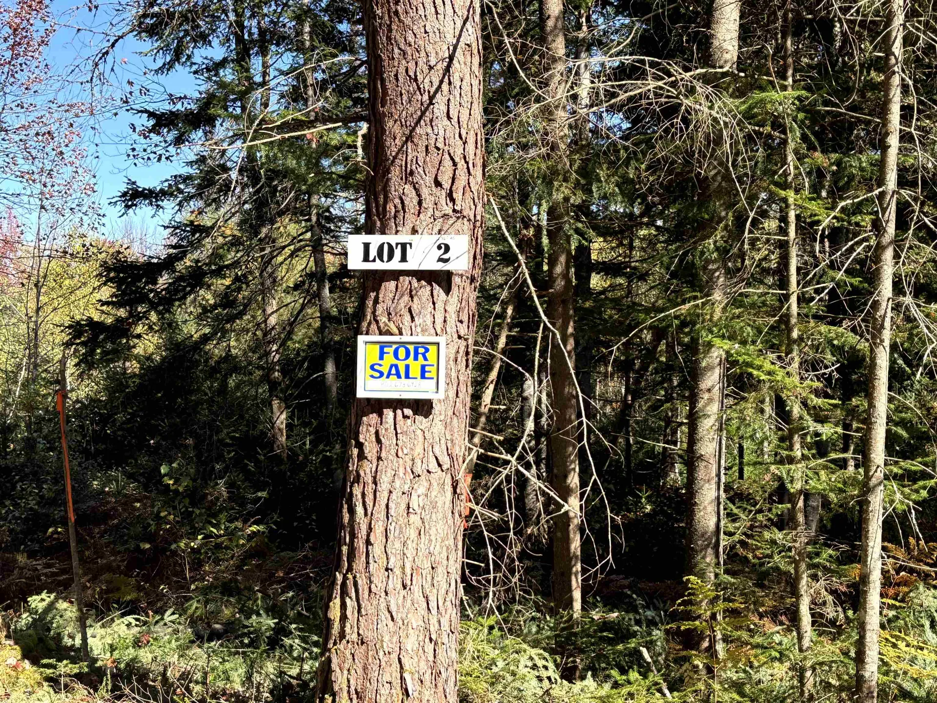 0 Atwood Road Brighton VT 05846