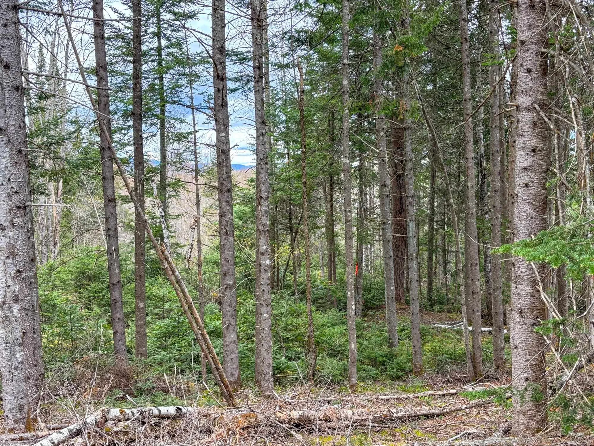 0 Atwood Road Brighton VT 05846